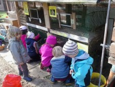 Hurá, vrátila se morčátka :) a vejdeme se k nim všichni.